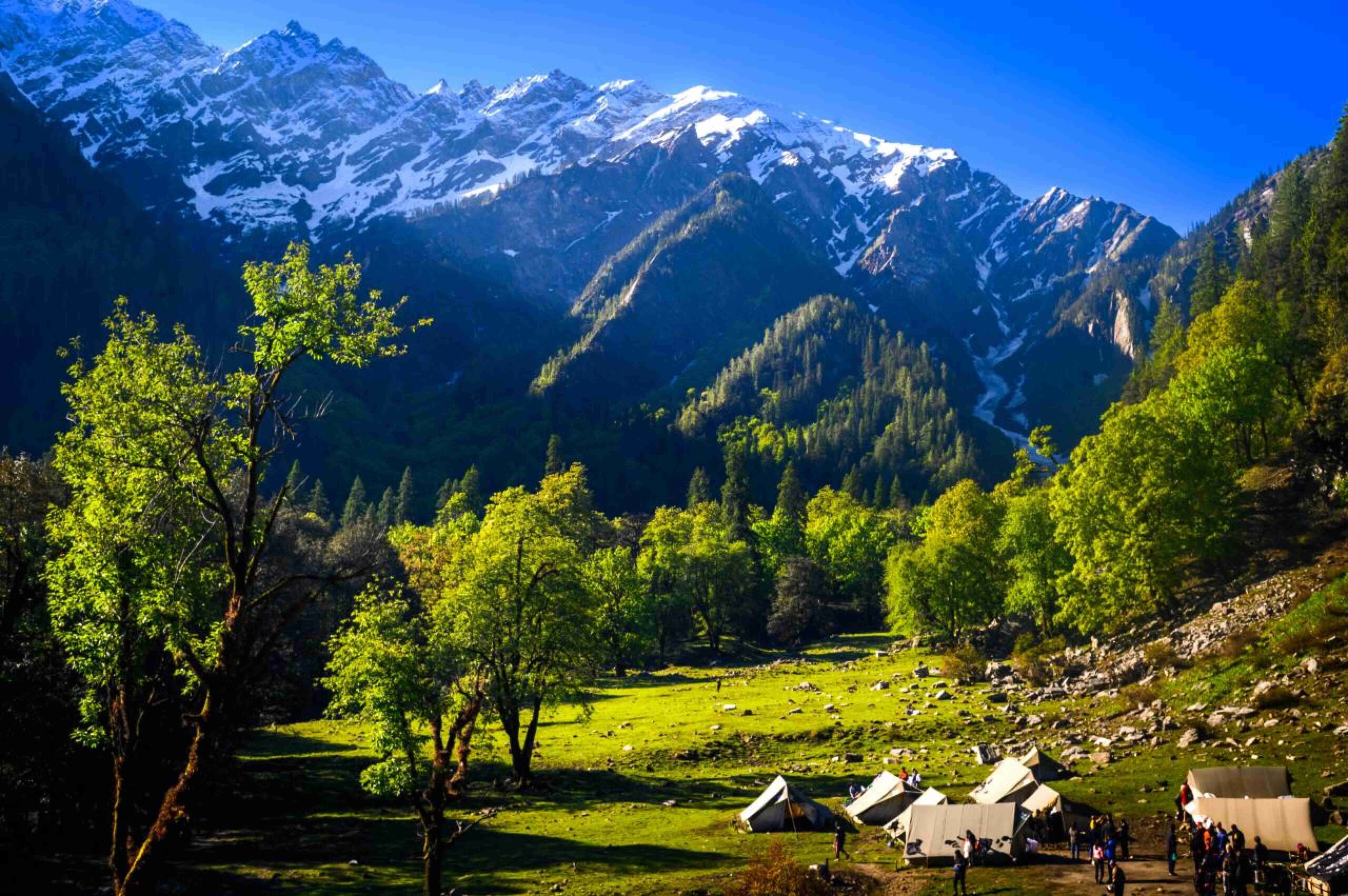 Escape to the Hills – Shimla Manali Getaway