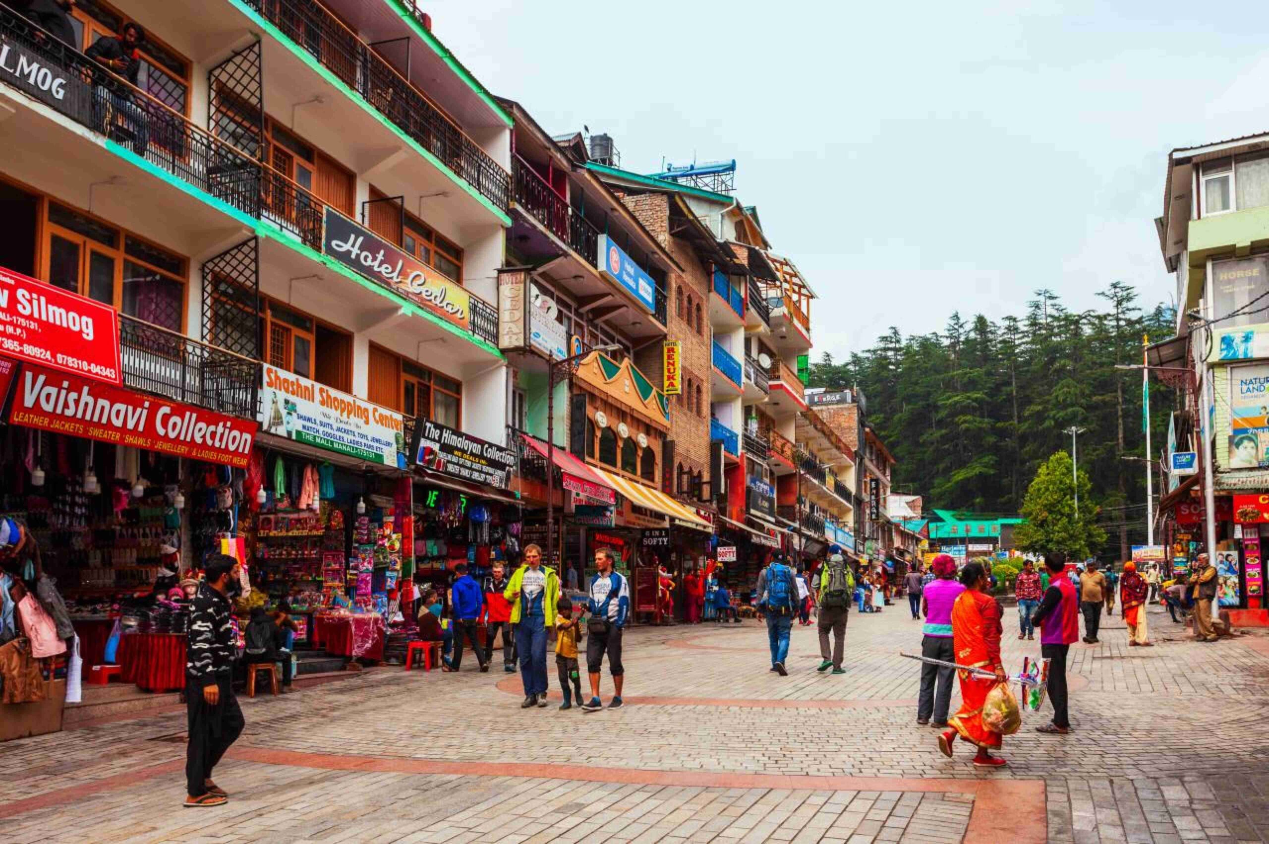 Discover Himachal with Family Comfort and Fun
