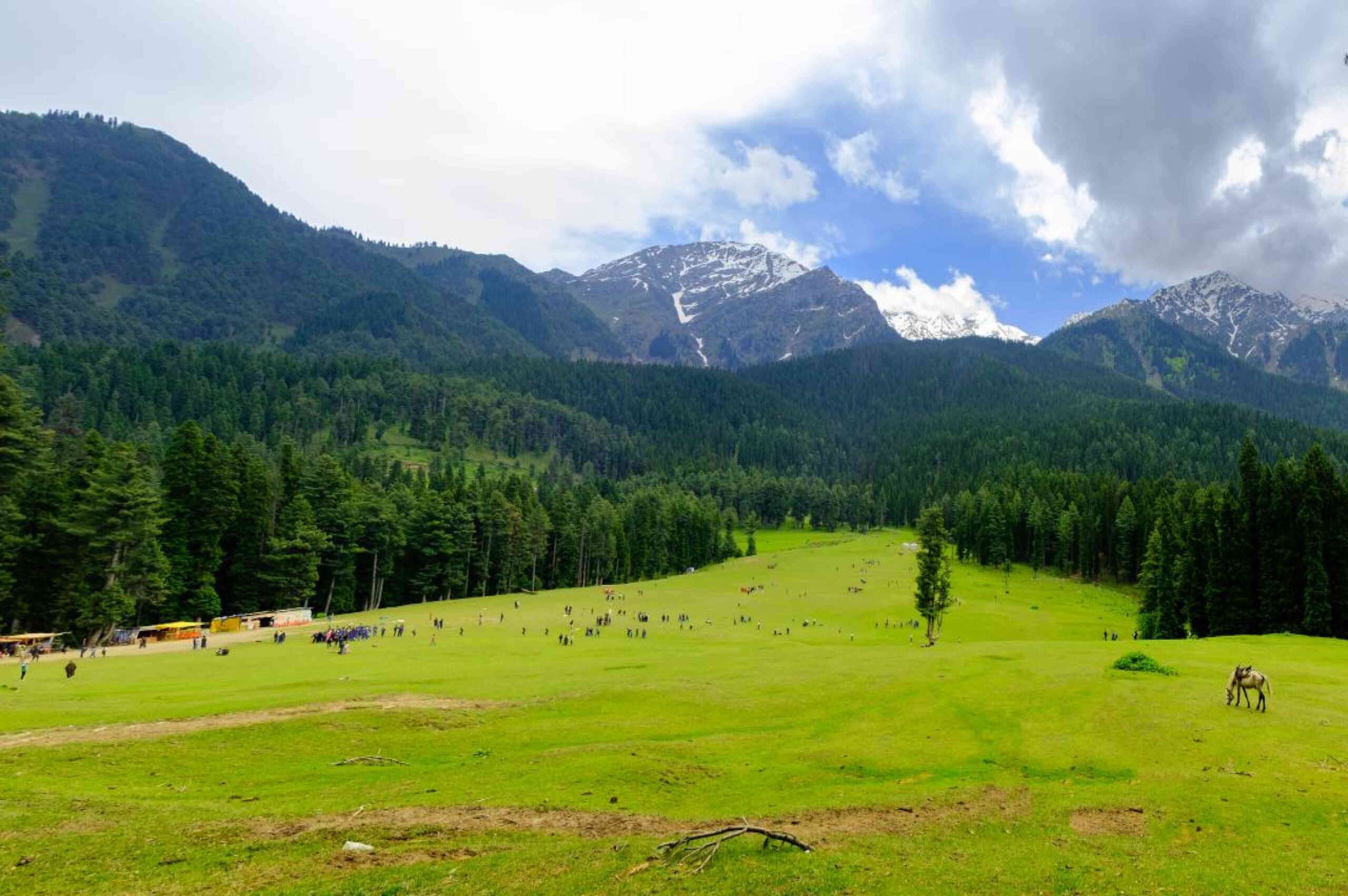 Memorable Family Holidays in Kashmir – Kashmir Family Delight Srinagar | Gulmarg | Pahalgam