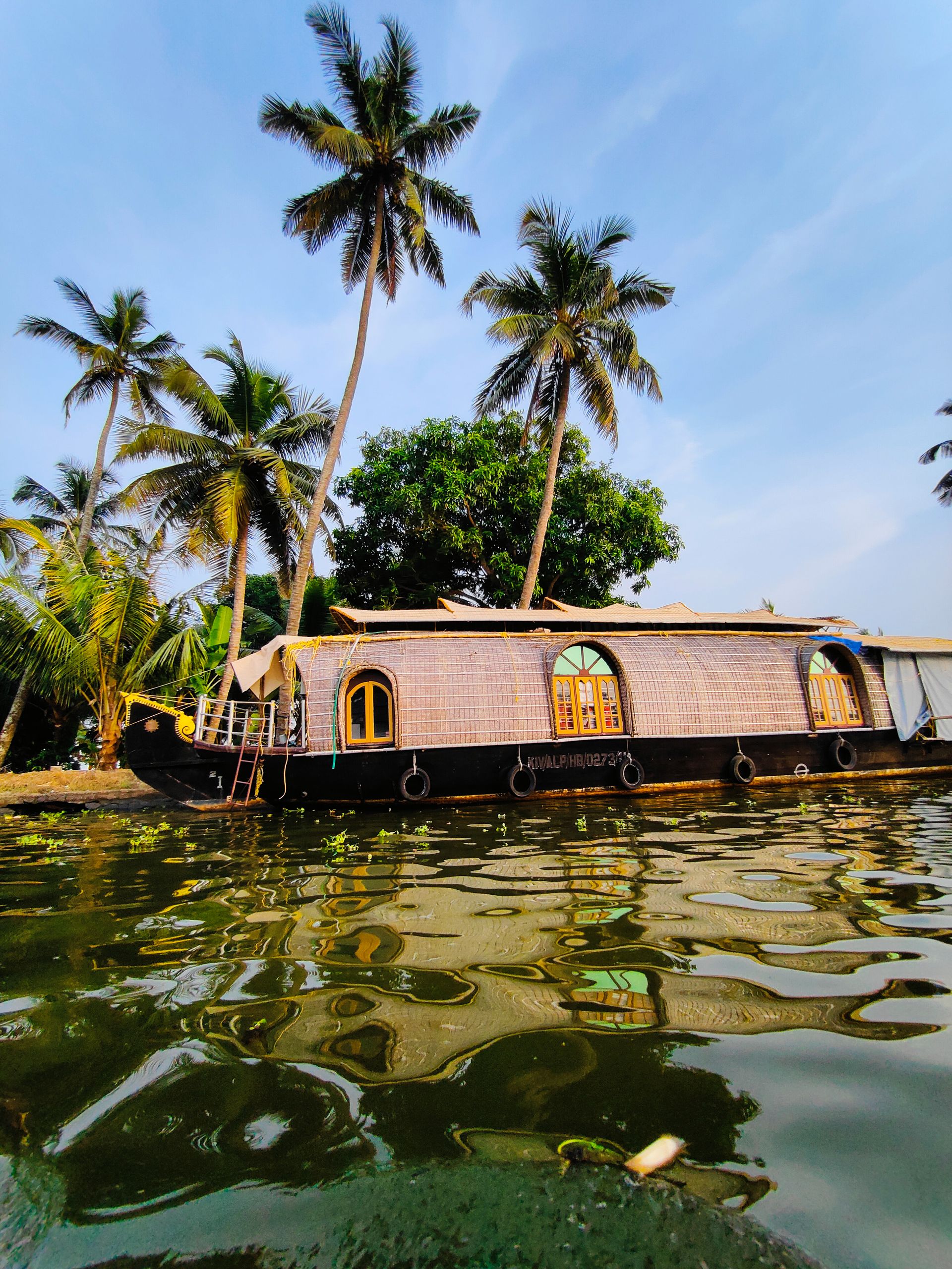 Nature, Wildlife & Backwater Adventures – Kerala Nature & Wildlife Circuit Kochi | Munnar | Thekkady | Alleppey