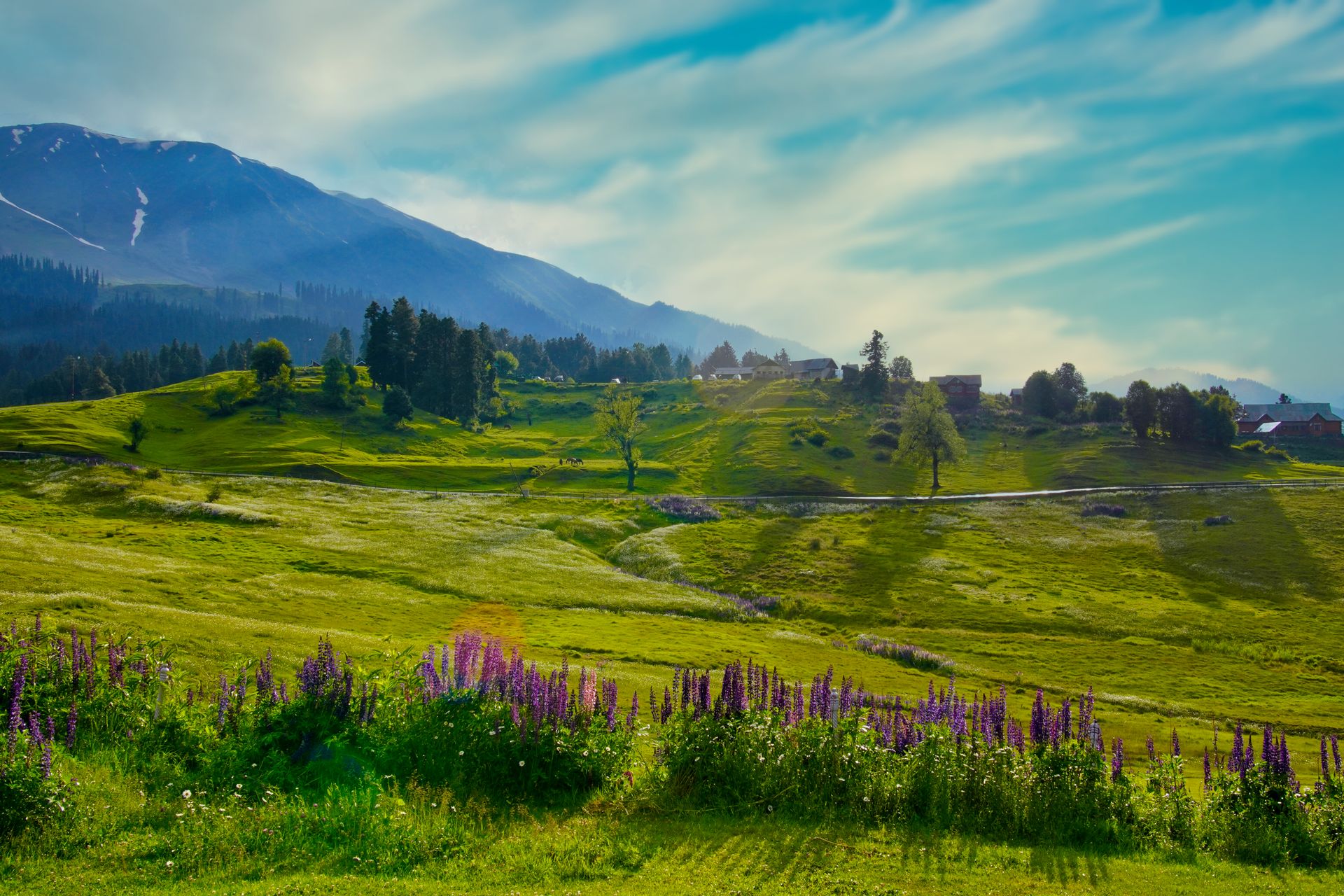 Experience Paradise on Earth – Kashmir Scenic Escape Srinagar | Gulmarg