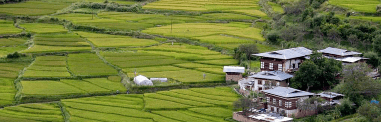 Budget Bhutan 8D 7N