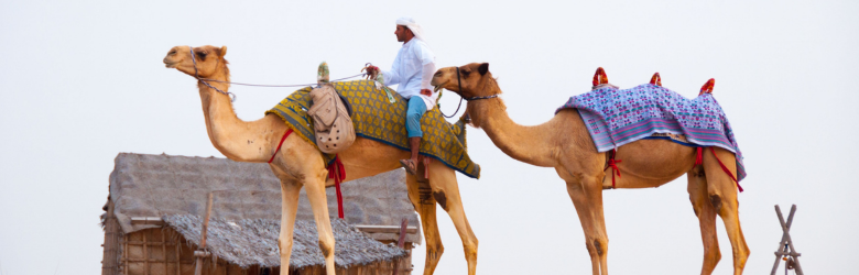 Dubai Budget 10D 9N