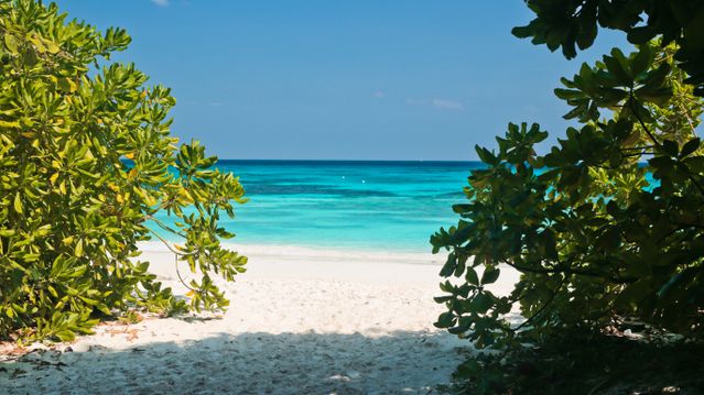 The Ultimate Maldives Paradise Experience – Ultimate Maldives Experience Male | Hulhumale | Maafushi | Vaadhoo Island