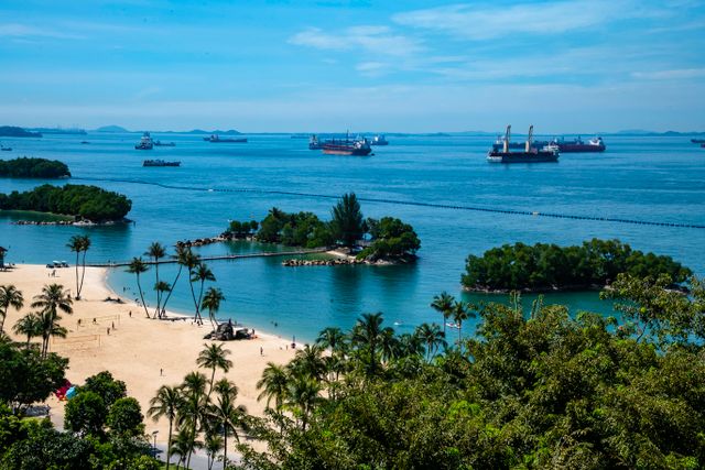 Explore Every Side of Singapore – Singapore Explorer Marina Bay | Gardens by the Bay | Sentosa Island | Universal Studios Singapore